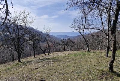Casă cu 2 camere cu Teren 27263 Mp în Brusturi - 5