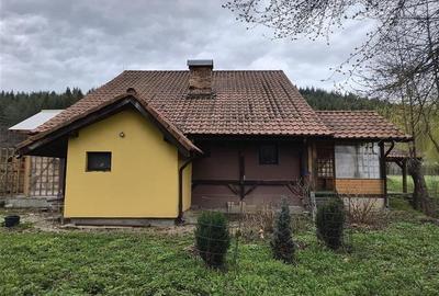 Oportunitate! Casa deosebita cu 2980 mp teren in Vulcan, Brasov - 44