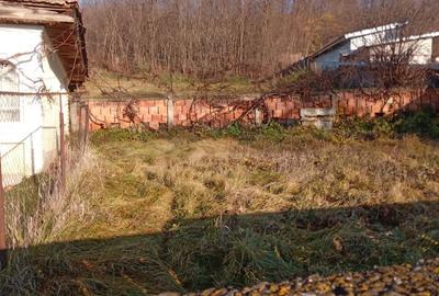 Casă cu 2 camere cu Teren 3754 Mp în Costișa - 1