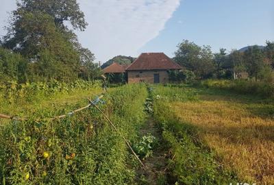 Vand casa, teren agricol si padure in Cheud - 5