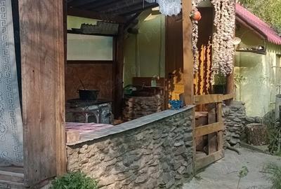 De vanzare Casuta din lemn pirogravata si unicata in lume - 3