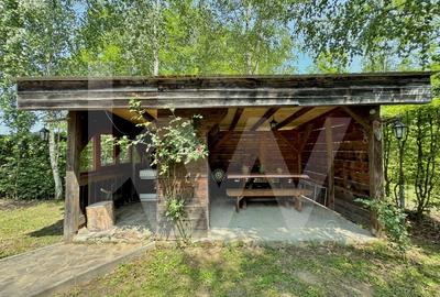 Cabana rustica de vis pe Valea Avrigului – un colt de rai in mijlocul naturii - 8