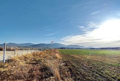 Teren Industrial - 5