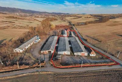 De vanzare spatii de productie si depozitare (hale),Sat Gheghie-Bihor - 9