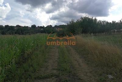 De vanzare teren 1.800/? intrav. in Deus- Chinteni ! - 4