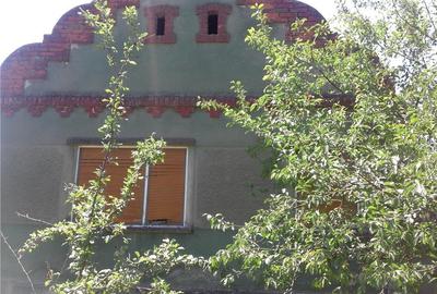 Casă cu 8 camere în Belinț - 3