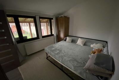 Casă cu 2 camere în Vulturi - 7