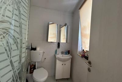 Spatiu Comercial P+1, 272 MP teren, 146 MP utili, Zona Parcul Romanescu - 12