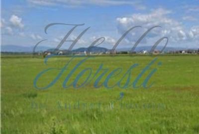 Teren intravilan 1.440mp pretabil duplex | Floresti - 3