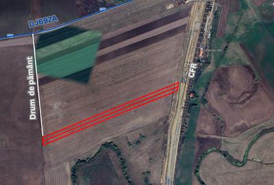 Teren agricol extravilan de 9968 mp, în Sânandrei - 2