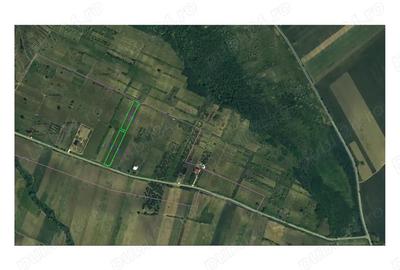 Teren de 5400 mp, în Comarna - 1