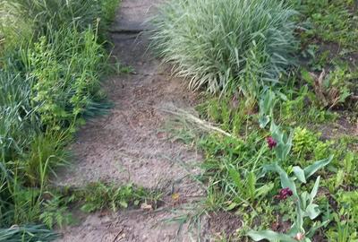 Casa batraneasca - 2