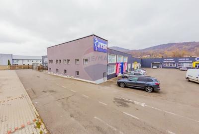 Spatiu de birouri si hala de depozitare ,de inchiriat - 9