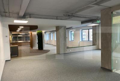 Spatiu deosebit in cladire clasa A - 10