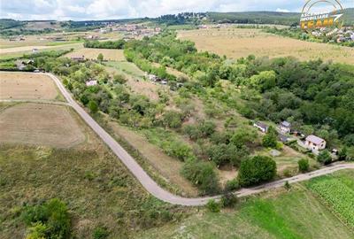 Teren Construcții extravilan de 4500 mp, în Sâncraiu - 5
