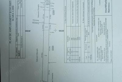Casă cu 2 camere în Central - 4