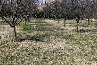 Teren Construcții intravilan de 1000 mp, în Central - 4