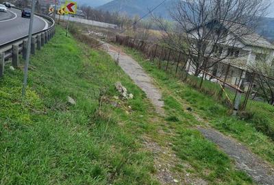 Teren de 5800 mp, în Gura Văii - 3