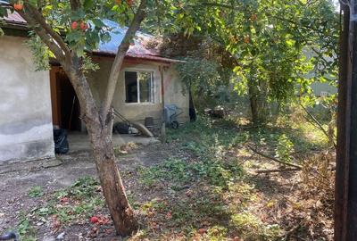 Teren de 299.95999145508 mp, în Nord-Est