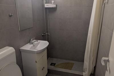 Inchiriez apt. 2 cam. Gara de Nord, Calea Grivitei, langa metrou, renovat. - 8