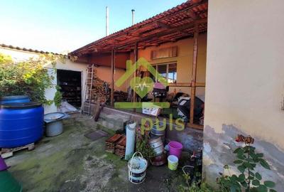 Casa individuala, spatii comerciale. Sacalaz ? - 1