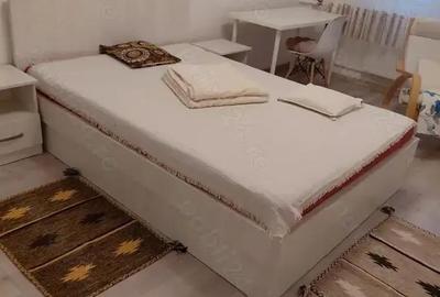 Garsoniera baba novac-campia libertatii-modern - 1