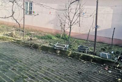 Casă cu 3 camere cu Teren 1500 Mp în Secusigiu - 2