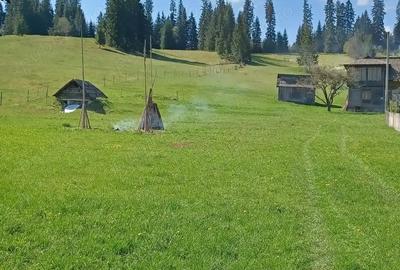 Teren de 28307 mp, în Coșna - 6