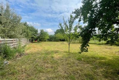 Teren intravilan 556mp Bârnova - pret negociabi - 3