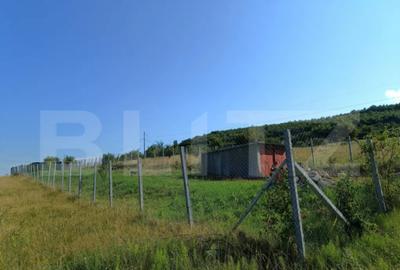 Teren de 1000 mp, în Central - 4