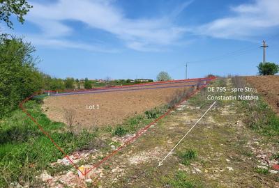 Intravilan vedere la lacul Snagov zona de vile noi - 7