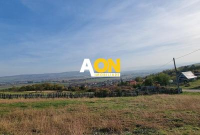 Teren Construcții intravilan de 5500 mp, în Pâclișa - 1