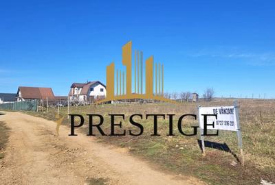 Teren agricol extravilan de 873 mp, în Șura Mică - 10