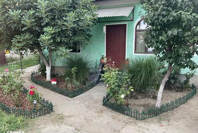 Spațiu comercial, în Ostroveni - 4