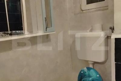 Apartament cu 2 camere semidecomandat în Botizului