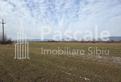 Teren de 5000 mp, în Central - 4