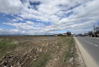 Teren de 9431 mp, în Garoafa - 5