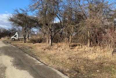 Teren de vanzare in Faget zona Wonderland - 2