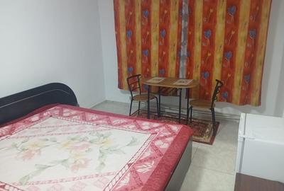 Garsonieră decomandată în Exterior Vest - 2