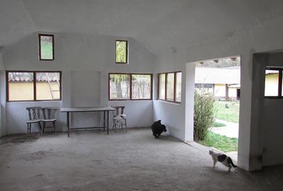 Casă cu 3 camere cu Teren 2900 Mp în Vețel - 5