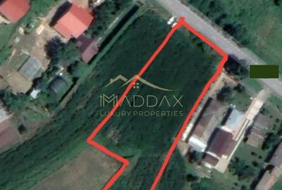 Teren Construcții intravilan de 4128 mp, în Gruiu - 4