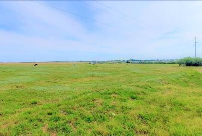 OCAZIE ! EFORIE NORD, ULTIMELE 3 LOTURI, 517 MP. 19.500 EURO IDEAL INVESTITIE ! - 10