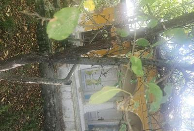 Teren de 1813 mp, în Mihăești - 5