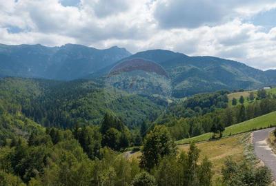 Teren Panoramic in Bran Vedere spre Bucegi & Piatra C... - 9