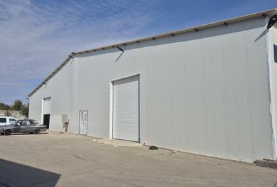 HALA | HALTA TRAIAN | SERVICE | DEPOZITARE - 2