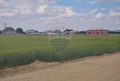 Teren intravilan de 6600 mp, în Dumbrăveni - 10