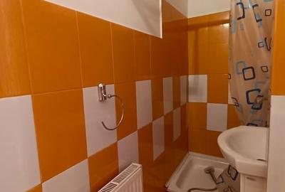 Apartament spatios cu 1 camera zona NTT / Pta Mihai Viteazul / Centru Apartament spatios cu 1 camera zona NTT / Pta Mihai Viteazul / Centru - 10