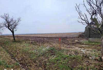 Teren de 4105 mp, în Nojorid - 3