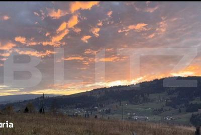 Teren de 16688 mp, în Șaru Dornei - 6
