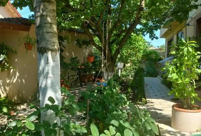 Casă cu 5 camere în Roșiori de Vede - 2